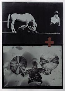 Joseph Beuys, Iphigenie/Titus Andronicus, 1985, Deutsche Bank Collection