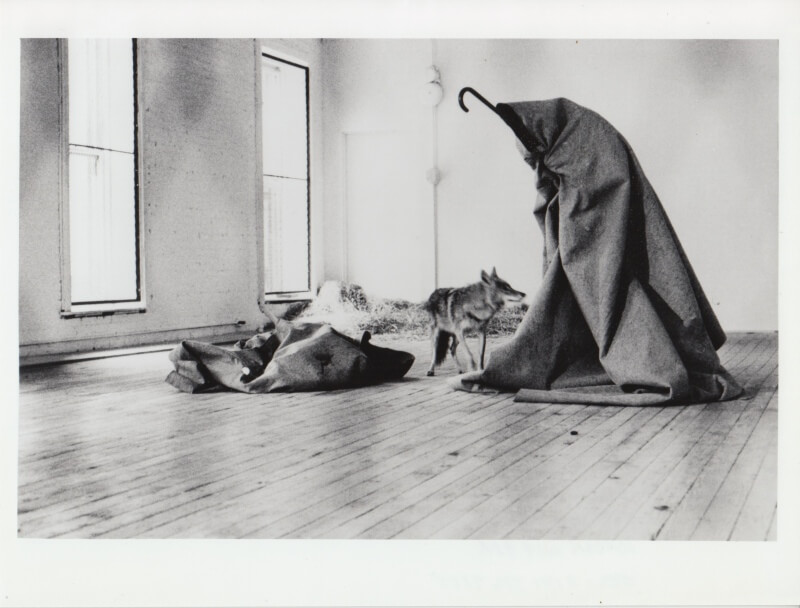Joseph Beuys, Aktion I like America and America likes Me, René Block Gallery, New York, Mai 1974. Photo: © Caroline Tisdall, VG Bild-Kunst, Bonn 2021